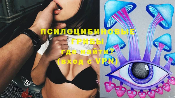 герыч Каменка