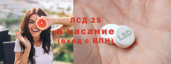 прущие грибы Каменск-Шахтинский