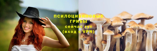 марихуана Каменногорск