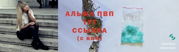 прущие грибы Каменск-Шахтинский
