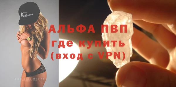 прущие грибы Каменск-Шахтинский