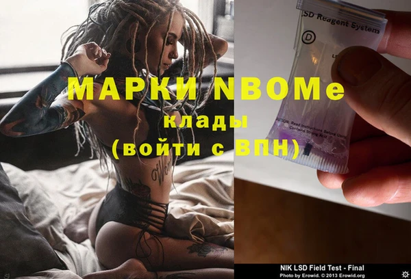 прущие грибы Каменск-Шахтинский
