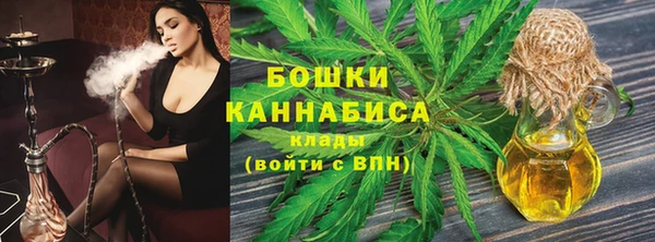 прущие грибы Каменск-Шахтинский