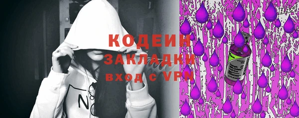 прущие грибы Каменск-Шахтинский